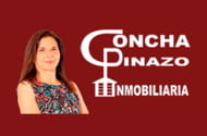 CONCEPCIÓN PINAZO SÁEZ