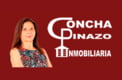 CONCEPCIÓN PINAZO SÁEZ