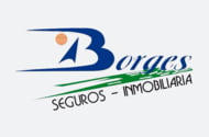 BORGES SEGUROS INMOBILIARIA