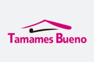 INMOBILIARIA TAMAMES BUENO