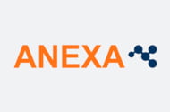 ANEXA CONSULTORES