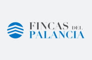 FINCAS DEL PALANCIA
