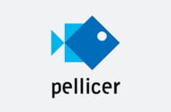 VENTAS PELLICER, S.L.