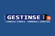 Cesare Gagliani Caputo ( GESTINSE CONSULTORES INMO