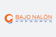 BAJO NALON ASESORES, S.L.