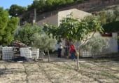  warehouse for sale in Aspe photo