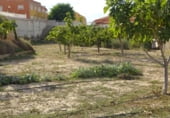  warehouse for sale in Aspe photo
