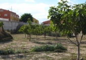  warehouse for sale in Aspe photo