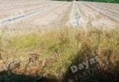 Nau Industrial
en venda
amb 206m² a Oriola, Carretera Orihuela, 25 foto