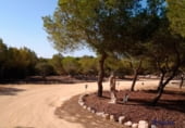 363m² building for sale in Rojales photo