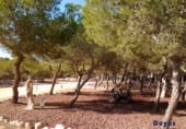 363m² building for sale in Rojales photo