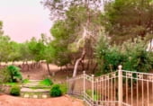 363m² building for sale in Rojales photo