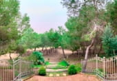 363m² building for sale in Rojales photo