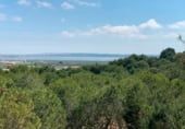 363m² building for sale in Rojales photo