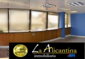 259m² bureau pour location à Alicante, dans le quartier de Centre photo