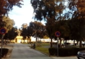Local comercial en alquiler en Pilar de la Horadada foto