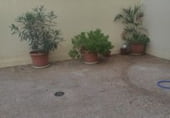 Local comercial en venta con 119m² en Alfaz del Pi foto