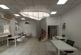 Foto 19