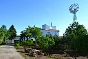 Foto 8