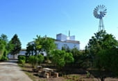 3037m² entrepôt pour vente à Argamasilla de Alba photo