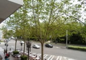 Oficinas en venta con 150m² en Valladolid, en la zona de Campo Grande, Paseo DE ZORRILLA foto