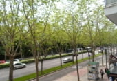 Oficinas en venta con 150m² en Valladolid, en la zona de Campo Grande, Paseo DE ZORRILLA foto