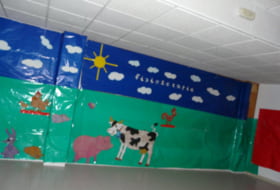 Foto 9