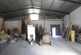 Foto 9