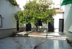 Foto 19