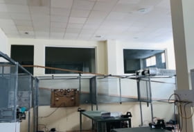 Foto 9