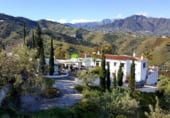 523m² locaux commerciaux pour vente à Torrox photo