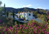 523m² locaux commerciaux pour vente à Torrox photo