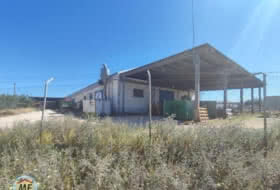 Foto 7