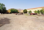 Nau Industrial
en venda, lloguer
amb 640m² a Valdepeñas foto