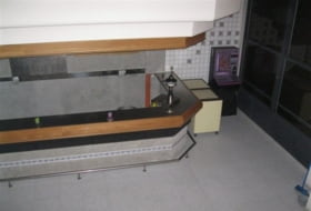 Foto 19