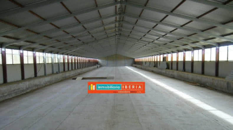 Nave
