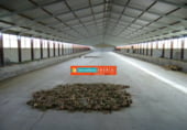 Nau
en lloguer
amb 1300m² a Viana foto