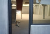 Nave en alquiler con 1249m² en Sevilla foto