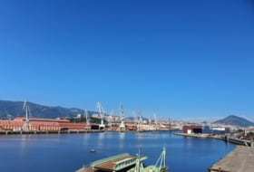 Foto 15