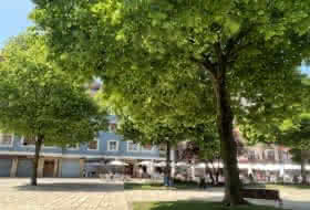 Foto 3