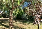Restaurante en venta con 1100m² en Garraf foto