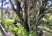 Restaurante en venta con 1100m² en Garraf foto