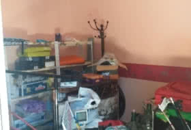 Foto 3