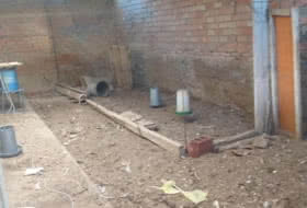 Foto 9