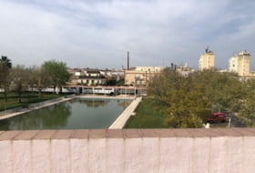 Foto 10