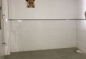 Nau Industrial
en venda
amb 475m² a Bollullos Par del Condado foto