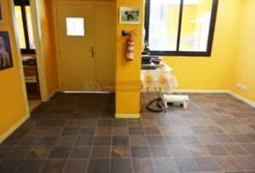 Foto 8