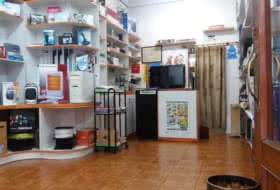 Foto 5