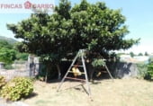 Edifici
en venda
amb 550m² a Pontevedra foto