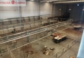 Nave Industrial en venta con 2276m² en Cambados foto